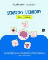 Sensory Memory.pdf